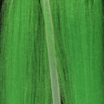JUST ADD H2O - FLUORO FIBRE