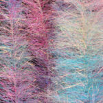 JUST ADD H2O - STREAMER BRUSH2" – Image 20