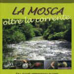 MASSIMO MAGLIOCCO - LA MOSCA OLTRE LA CORRENTE