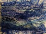 FISH AGE - VISCO MOTTLED - Image 2