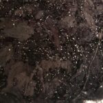 FISH AGE- BIONIC RABBIT