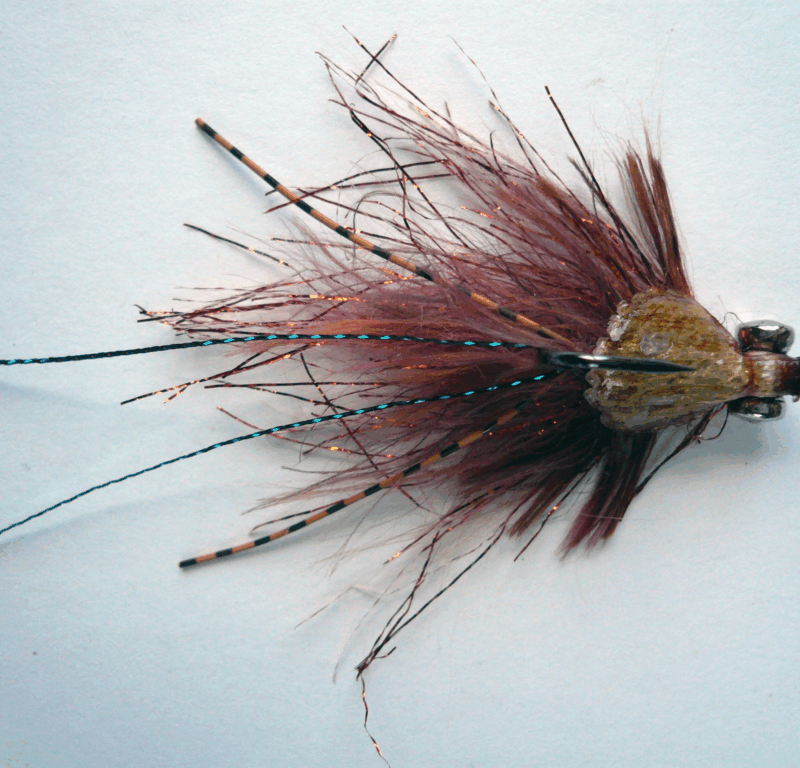 FISH AGE- VISCO METAL - immagine 4