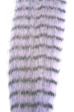 JUST ADD H2O - GRIZZLY FIBRE - Image 9
