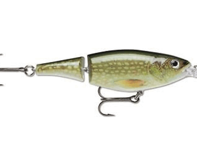 RAPALA - X-RAP XTREME ACTION JOINTED SHAD