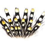 DEVAUX - JUNGLE COCK DVX 18 FEATHERS