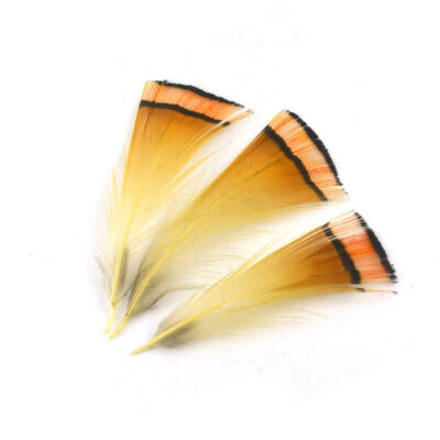 VENIARD - GOLDEN PHEASANT TIPPETS LARGE - GPTFL