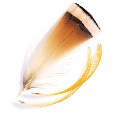 VENIARD - GOLDEN PHEASANT TIPPETS MEDIUM - GPTFS