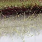 JUST ADD H2O - LIVELY LEGS CRUSTACEAN BRUSH 1'' - Image 3