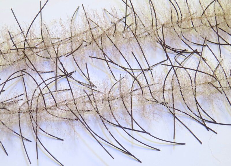 JUST ADD H2O - LIVELY LEGS CRUSTACEAN BRUSH 1'' – Image 12