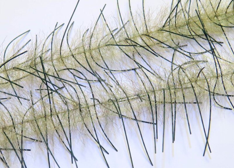 JUST ADD H2O - LIVELY LEGS CRUSTACEAN BRUSH 1'' – Image 14