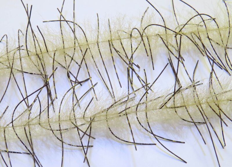 JUST ADD H2O - LIVELY LEGS CRUSTACEAN BRUSH 1'' – Image 16