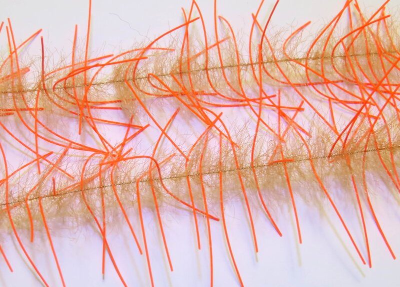 JUST ADD H2O - LIVELY LEGS CRUSTACEAN BRUSH 1'' – Image 19