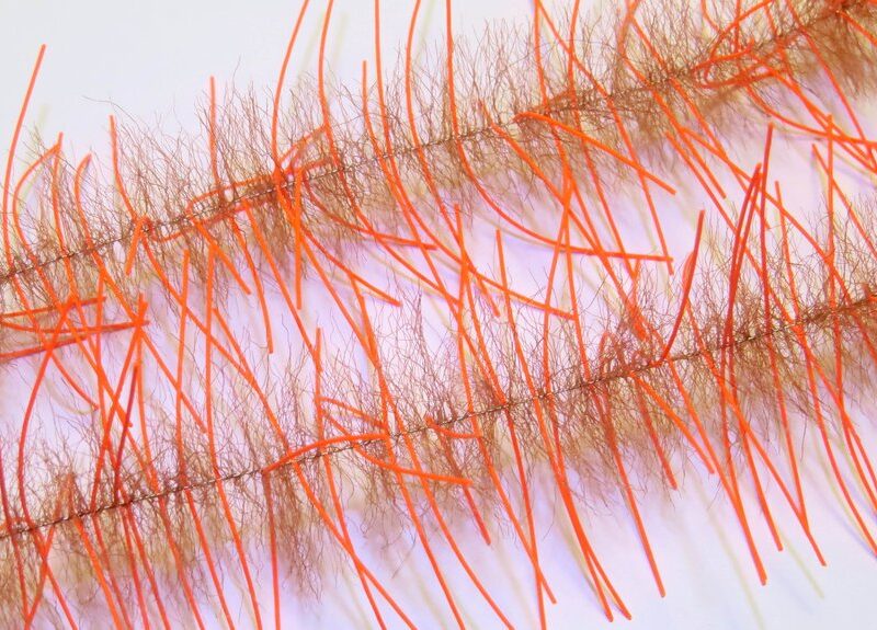 JUST ADD H2O - LIVELY LEGS CRUSTACEAN BRUSH 1'' – Image 20