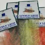 JUST ADD H2O - LIVELY LEGS CRUSTACEAN BRUSH 1'' – Image 2