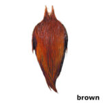 METZ - ROOSTER NECK # 3 – Image 5