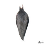 METZ - ROOSTER NECK # 3 - Image 9