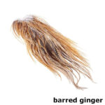 METZ - ROOSTER SADDLE MAGNUM #1 – Image 2