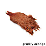 METZ - ROOSTER NECK MAGNUM #1 – Image 3