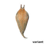 METZ - ROOSTER NECK # 1 - Image 14