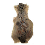 CHEVRON - HEN PHEASANT CAPE – Image 2