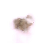 CHEVRON - GREY MALLARD - BREAST - Image 2