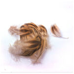 CHEVRON - MALLARD DUCK FLANK - Image 2
