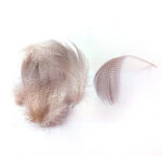 CHEVRON - GREY MALLARD FLANK - Image 2