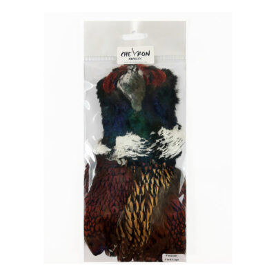 CHEVRON - COCK RINGNECK PHEASANT -CAPE