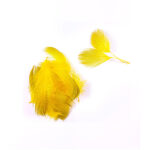 CHEVRON - GREY MALLARD DRAKE FLANK DYED YELLOW – Image 2