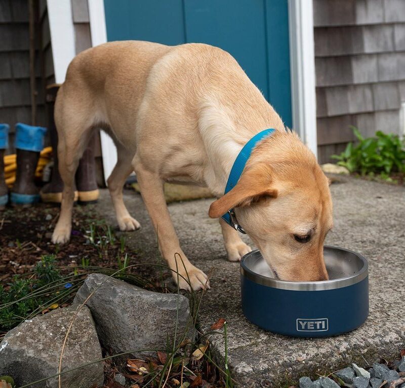 YETI - BOOMER 8 DOGBOWL – Image 5
