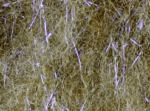 MONTANA FLY - UV FROG'S HAIR DUBBING – Image 8