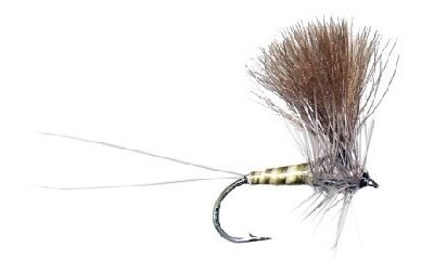 MONTANA FLY - KIOCHI'S CDC THORAX FLAV [TSM-D302]