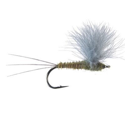 MONTANA FLY - CDC COMPARADUN - GREEN DRAKE [TSM-D316]