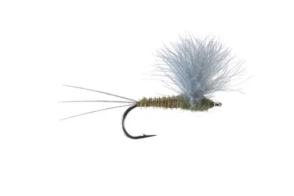 MONTANA FLY - CDC COMPARADUN - GREEN DRAKE [TSM-D316]