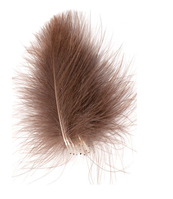 J.PARKER - CUL DE CANARD SUPER SELECTED - 50 FEATHERS