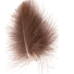 J. PARKER - CUL DE CANARD SUPER SELECTED - 50 FEATHERS