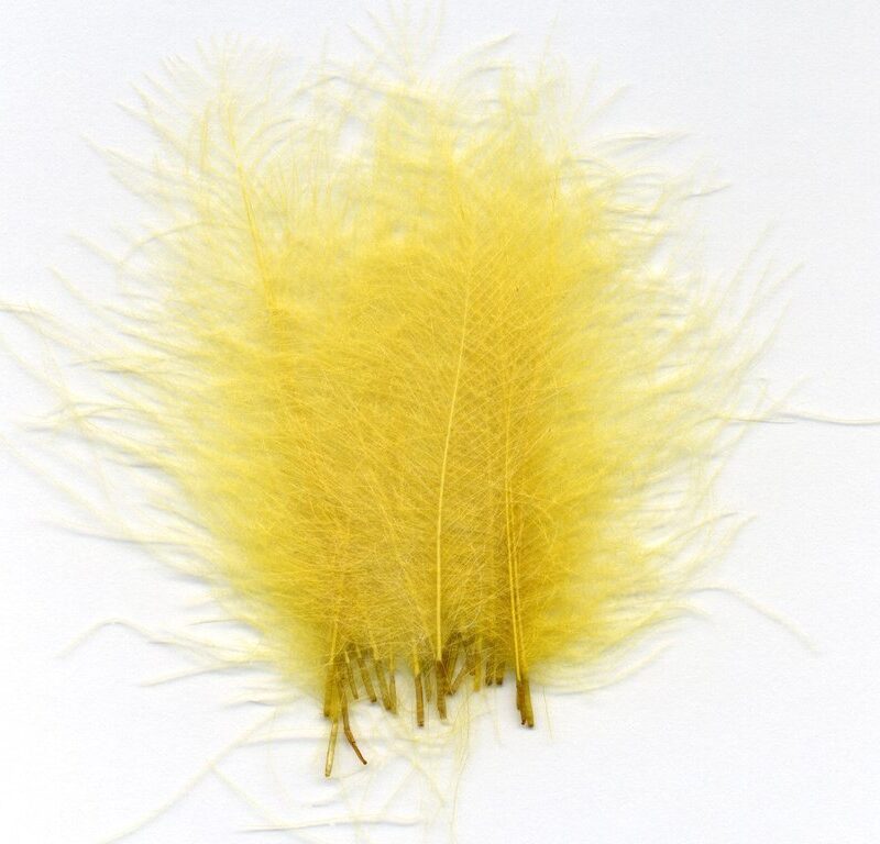 J.PARKER - CUL DE CANARD SUPER SELECTED - 50 FEATHERS - Image 19