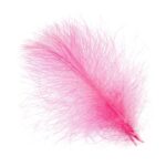 J.PARKER - CUL DE CANARD SUPER SELECTED - 50 FEATHERS - Image 22