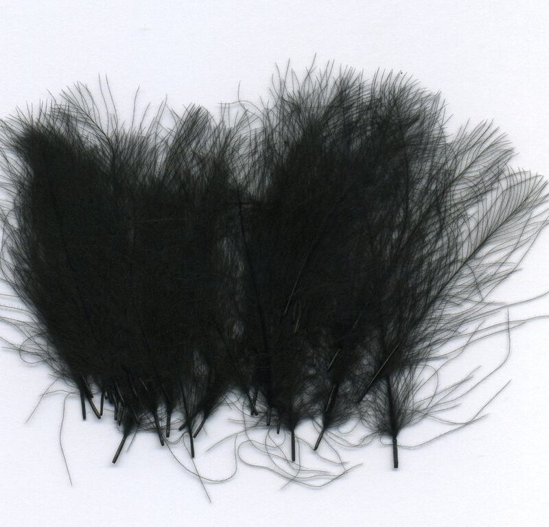 J.PARKER - CUL DE CANARD 5 GR - Image 7