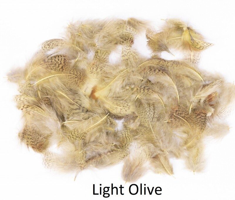 VENIARD - ENGLISH PARTRIDGE G 1 - ENGPARTH - PERNICE INGLESE - immagine 7