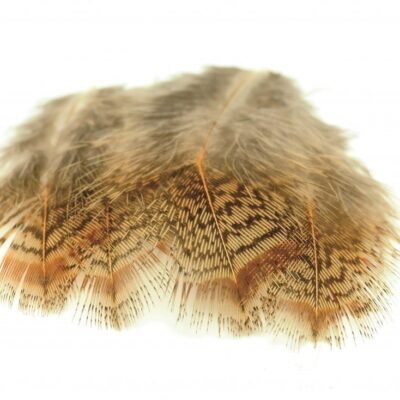 VENIARD - ENGLISH PARTRIDGE BROWN BACK G 3
