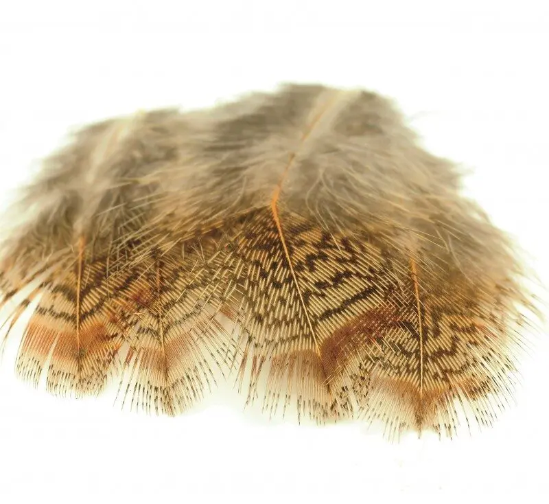 VENIARD - ENGLISH PARTRIDGE BROWN BACK G 3 - PERNICE INGLESE