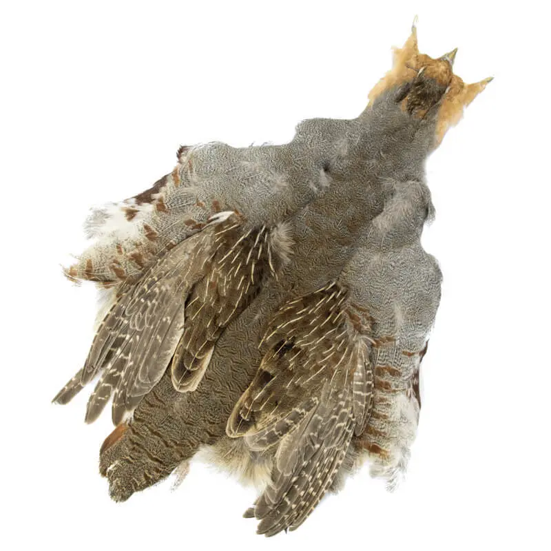 J. PARKER - HUNGARIAN PARTRIDGE COMPLETE SKIN