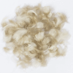 VENIARD - WIGEON BREAST - WIGEBRES - FISCHIONE