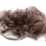 J.PARKER - CUL DE CANARD 1 GR