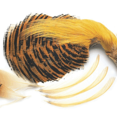 VENIARD - GOLDEN PHEASANT N°1 COMPLETE HEAD NATURAL - GPH1