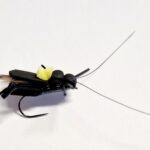 DEVAUX - CRICKET 01 BL - PACKAGING PIECES 3