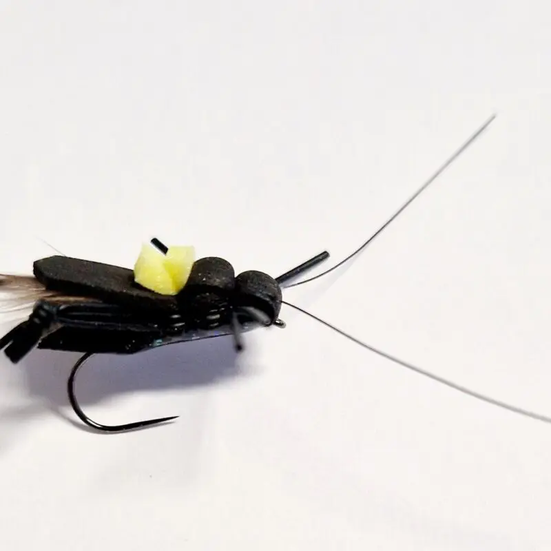 DEVAUX - CRICKET 01 BL - PACKAGING 3 PIECES