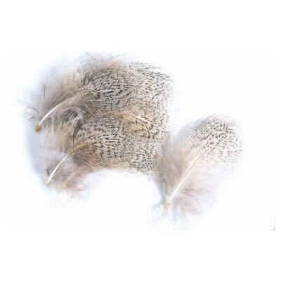 VENIARD - ENGLISH PARTRIDGE GREY NECK G 3