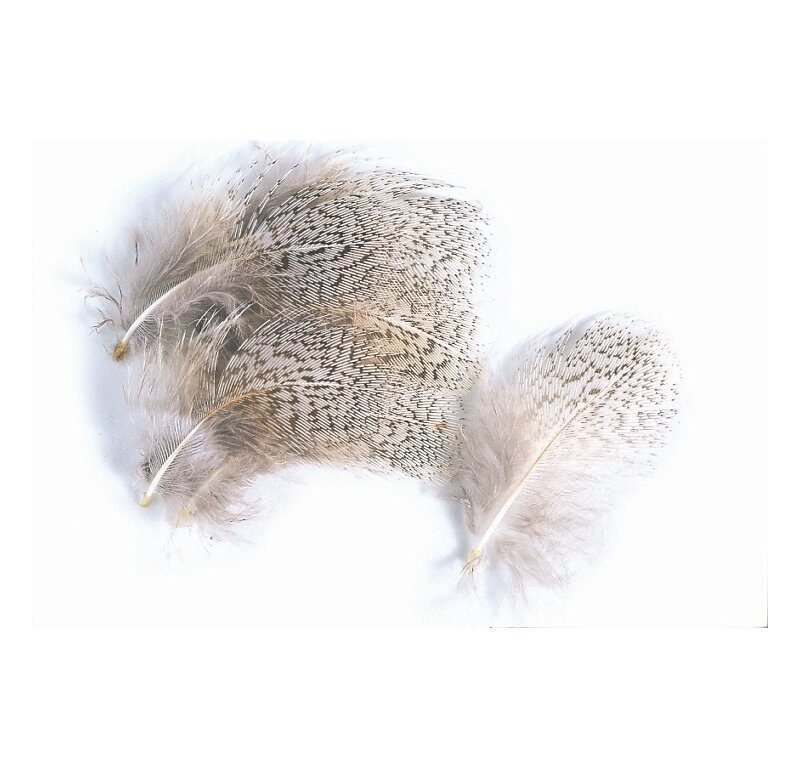 VENIARD - ENGLISH PARTRIDGE GREY NECK G 3 - Image 1